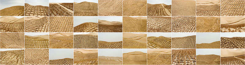 Desert Control, 2006<br /> (156 x 42 inches)